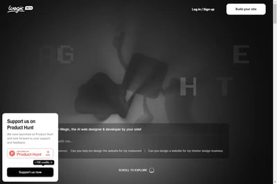 韦吉奇 preview