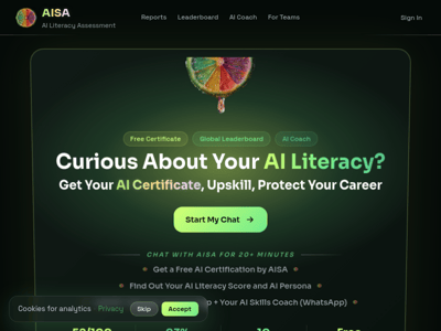 AISA AI Literacy Assessment preview