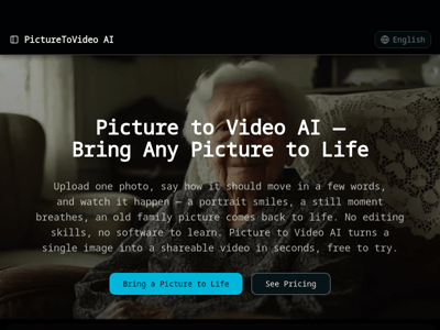 Picture to Video AI preview