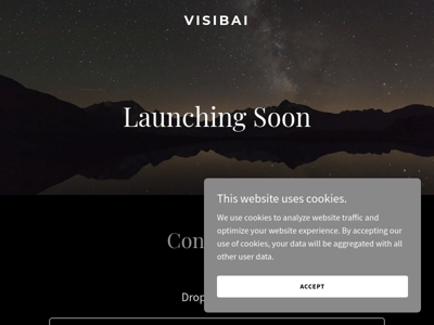 Visibai preview