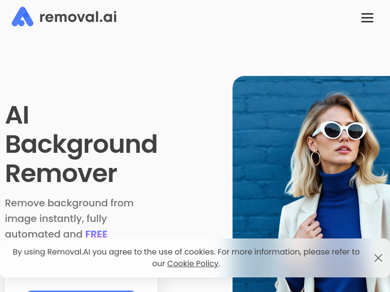 Removal.AI